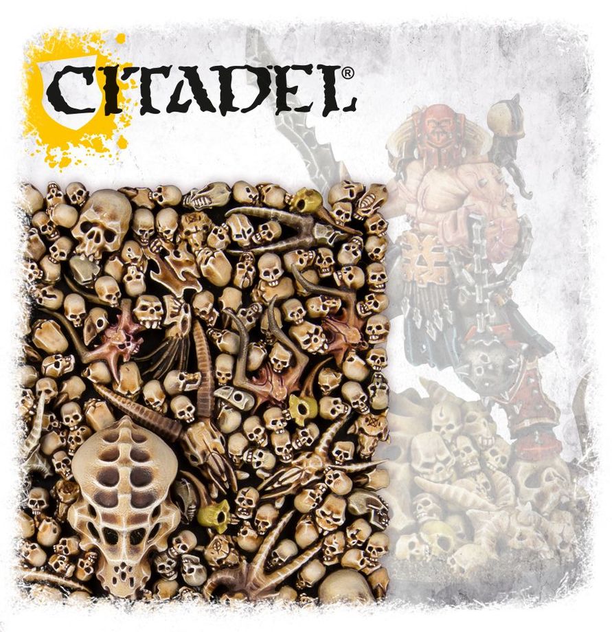 Citadel Skulls thumbnail 7