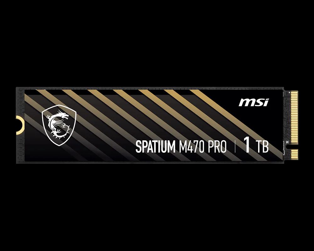 SPATIUM M470 PRO PCIe 4.0 NVMe M.2   1TB